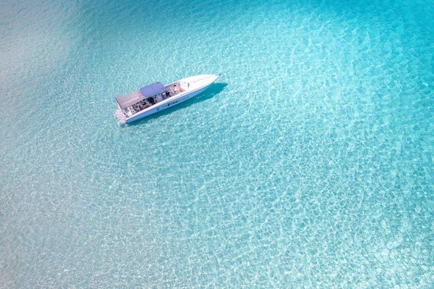 Pink Sand Beach and Swimming Pigs Adventure from Nassau 3