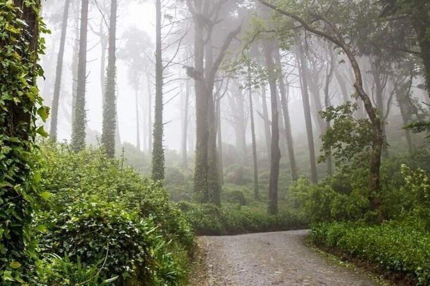 Private Tour Sintra, Palaces and Mountain Tuk Tuk(2 to 6 people) 5