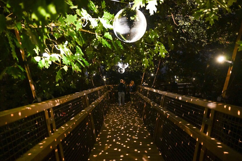 Picture 12 for Activity Porto: Serralves Em Luz Immersive Light Show Entry Ticket 5