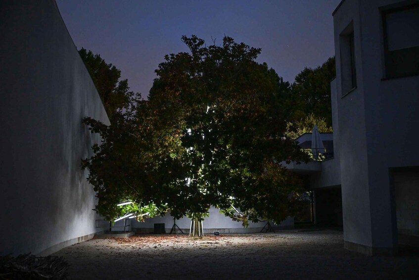 Picture 1 for Activity Porto: Serralves Em Luz Immersive Light Show Entry Ticket 4