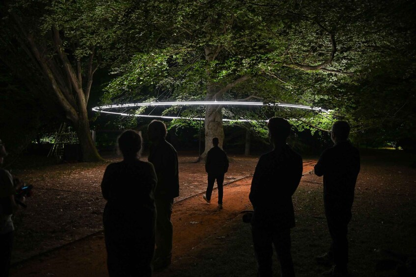 Picture 25 for Activity Porto: Serralves Em Luz Immersive Light Show Entry Ticket 3
