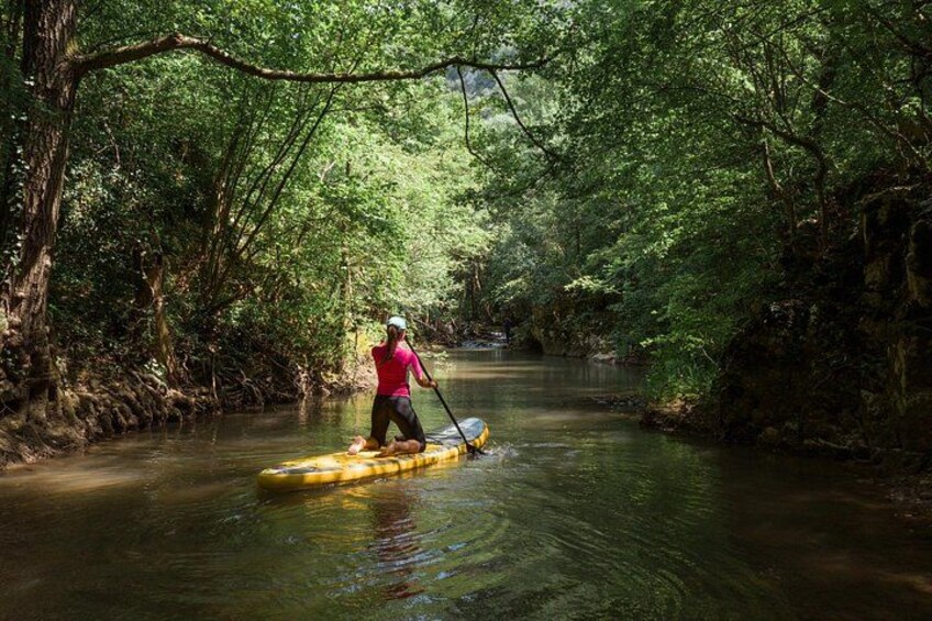 Paddle Board Adventure in Palomino River Tour 1