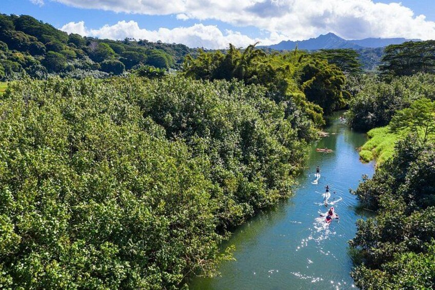 Paddle Board Adventure in Palomino River Tour 5
