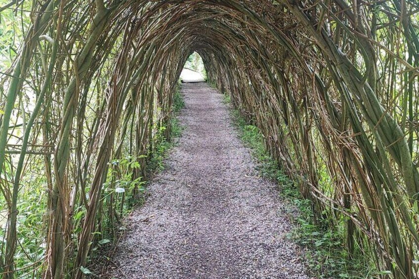A gravel path under a bamboo archway surrounded by greenery. 5