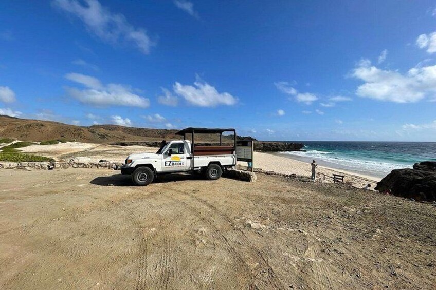 Horseback Riding and Natural Pool Adventure in Aruba 5