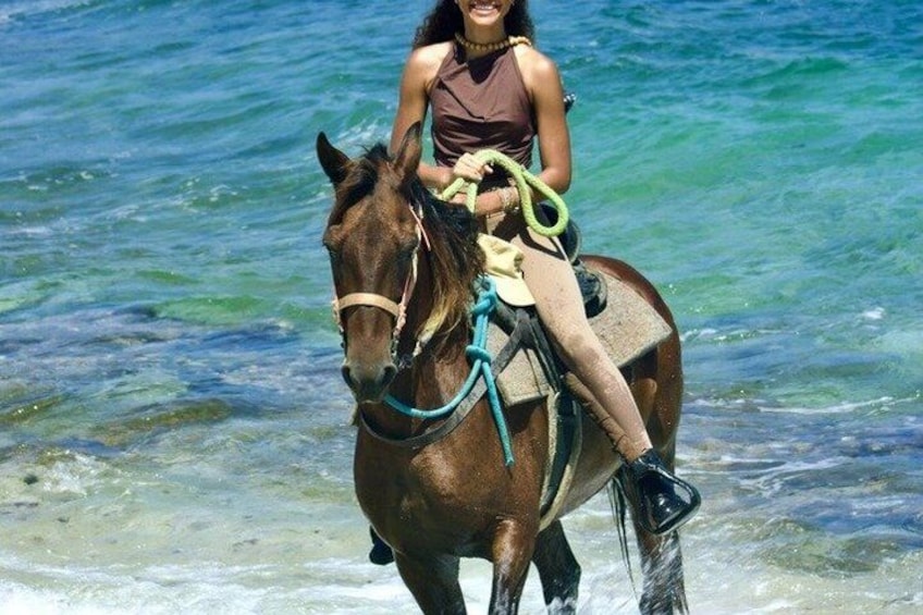 Une personne à cheval sur une plage où l’eau est claire. 1
