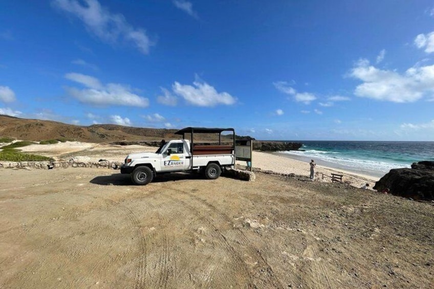 Horseback Riding and Natural Pool Adventure in Aruba 3