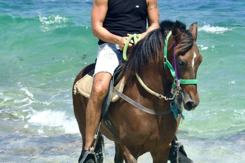 Une personne à cheval sur une plage, avec des vagues en arrière-plan. 2