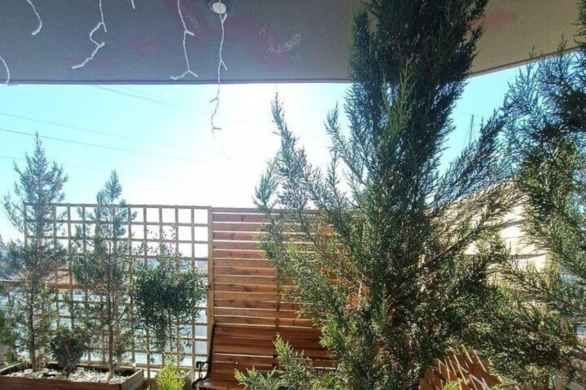 A wooden fence, a tall evergreen tree, and a building in the background. 2