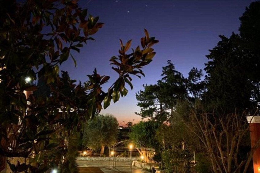 Dinner in Monopoli with the authentic Flavours of Puglia 4