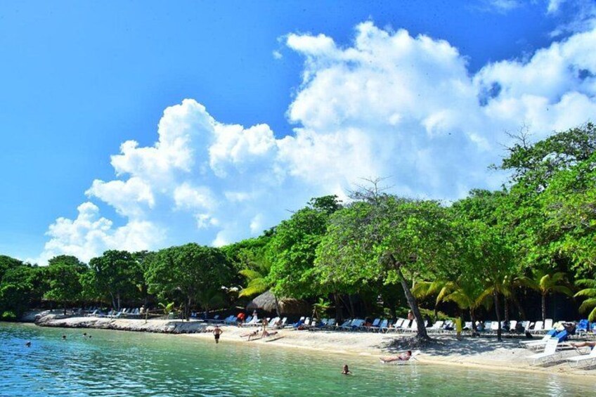 A beach with clear water, palm trees, and beach chairs. 3