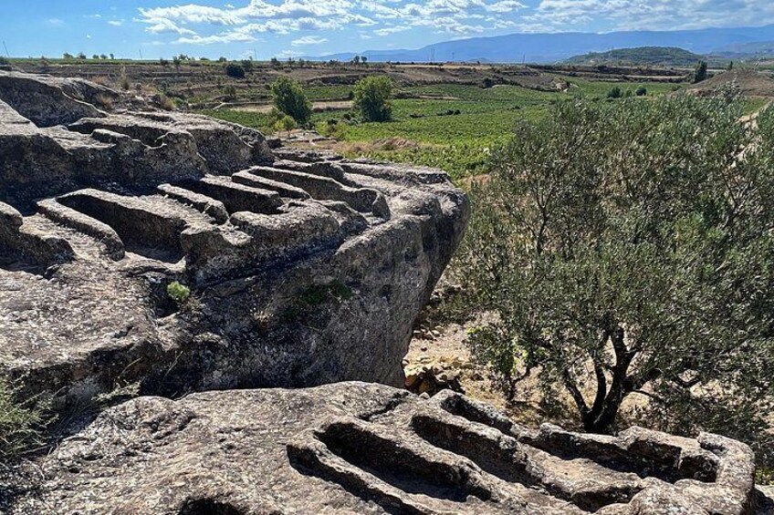 Full Day Tasting The Unknown Rioja Wine Region 5