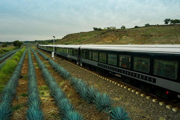 EXPRESS TRAIN TO TEQUILA 2