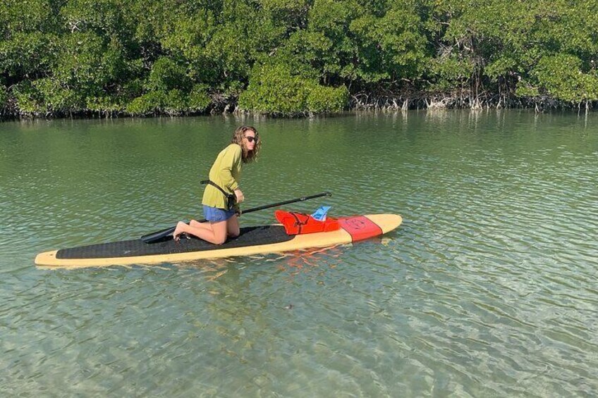 The mangrove shoreline hold tons of wildlife!