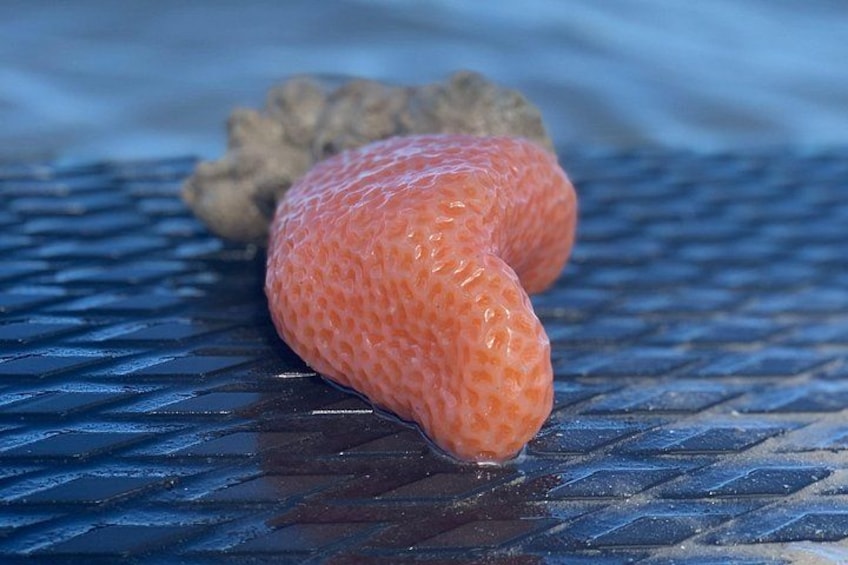A strawberry on a textured surface. 3
