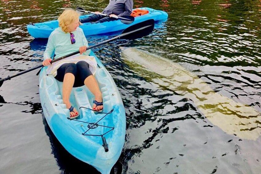 A person in a blue kayak on calm water. 4