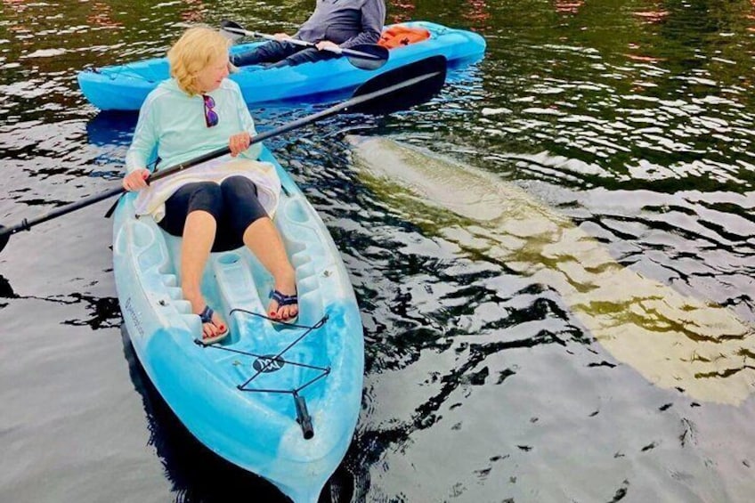 A person in a blue kayak on calm water. 3
