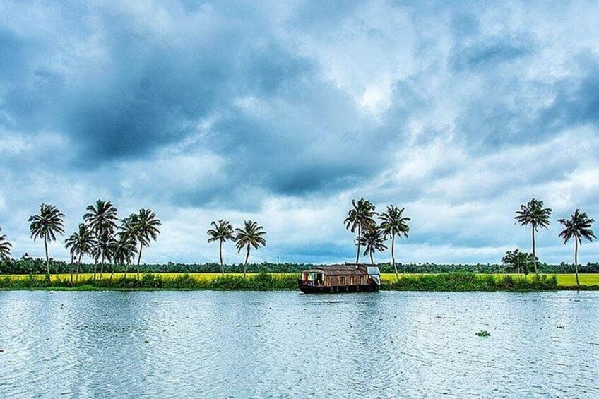 A river with a houseboat, palm trees, and a cloudy sky. 2