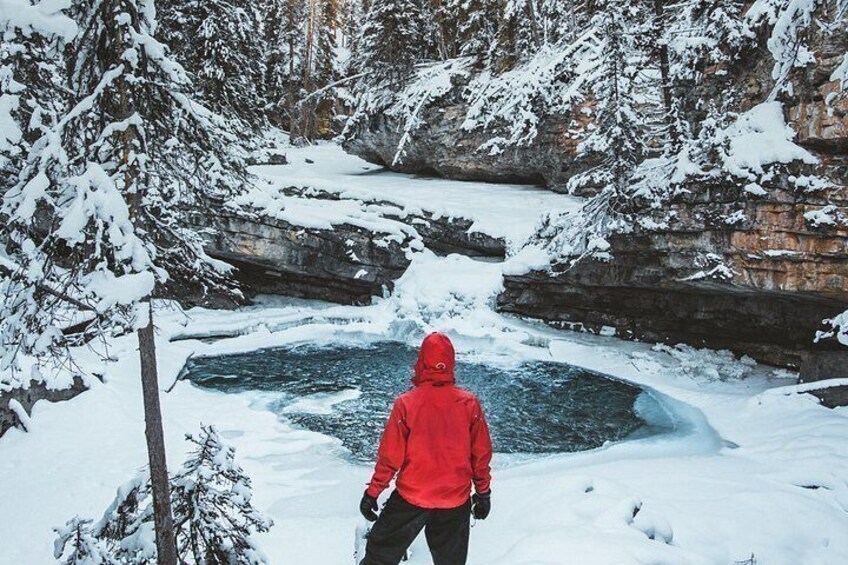 A person in a red jacket standing by a snow-covered river in a forest. 5