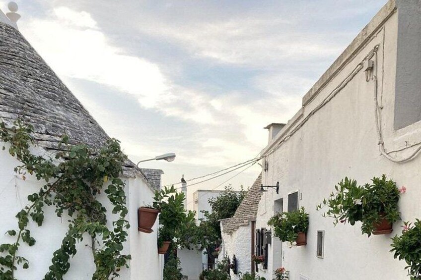 Day tour from Naples to Alberobello 1