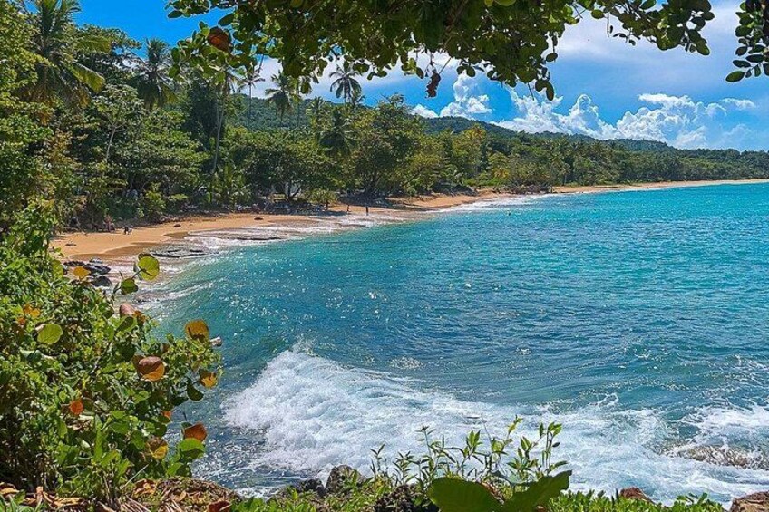 Full Day Puerto Plata: Blue Lagoon & Different destinations 1