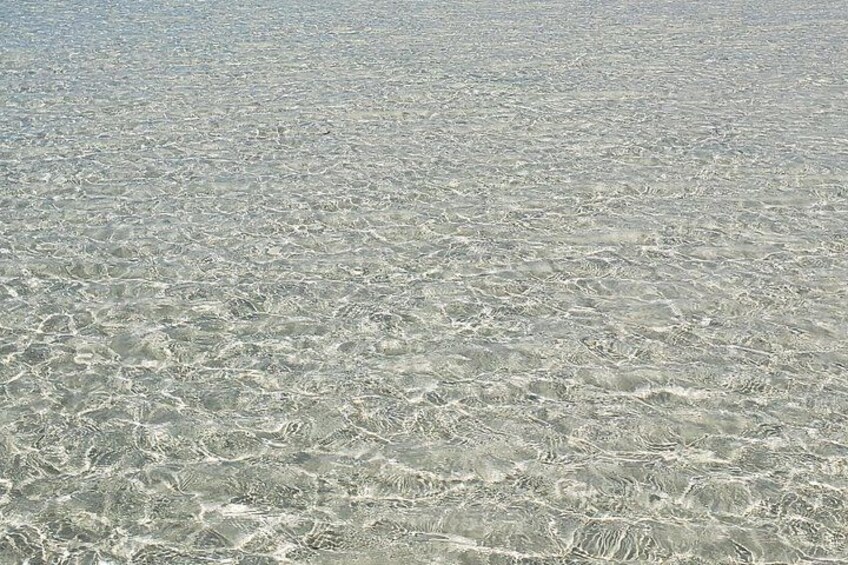 Mnemba Island snorkeling and Swimming with Dolphin 2