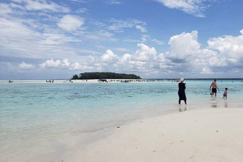 Mnemba Island snorkeling and Swimming with Dolphin 3