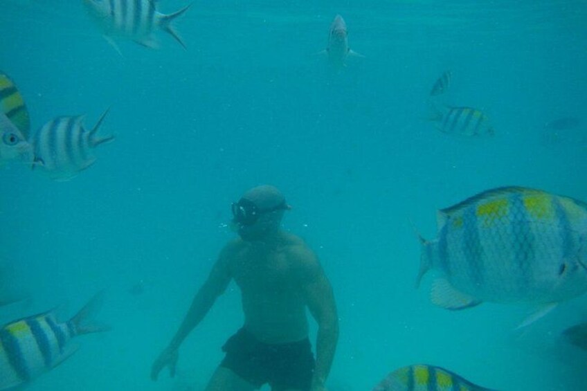 Mnemba Island snorkeling and Swimming with Dolphin 5