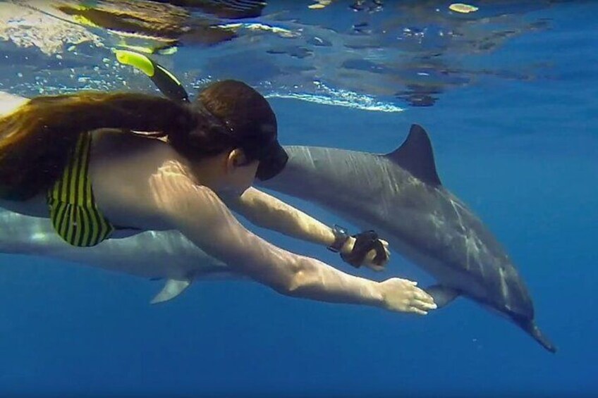 A person swimming with a dolphin in clear blue water. 3