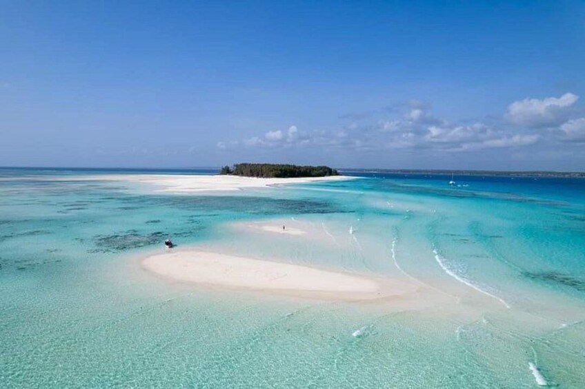 Mnemba Island snorkeling and Swimming with Dolphin 3