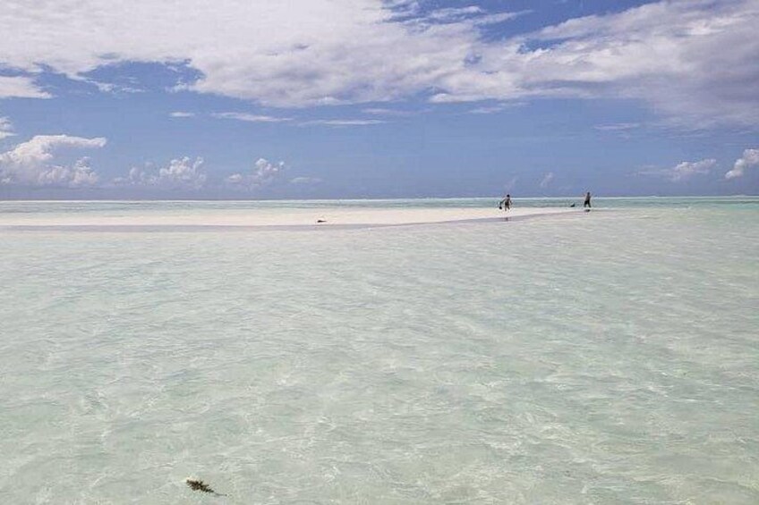 Mnemba Island snorkeling and Swimming with Dolphin 2