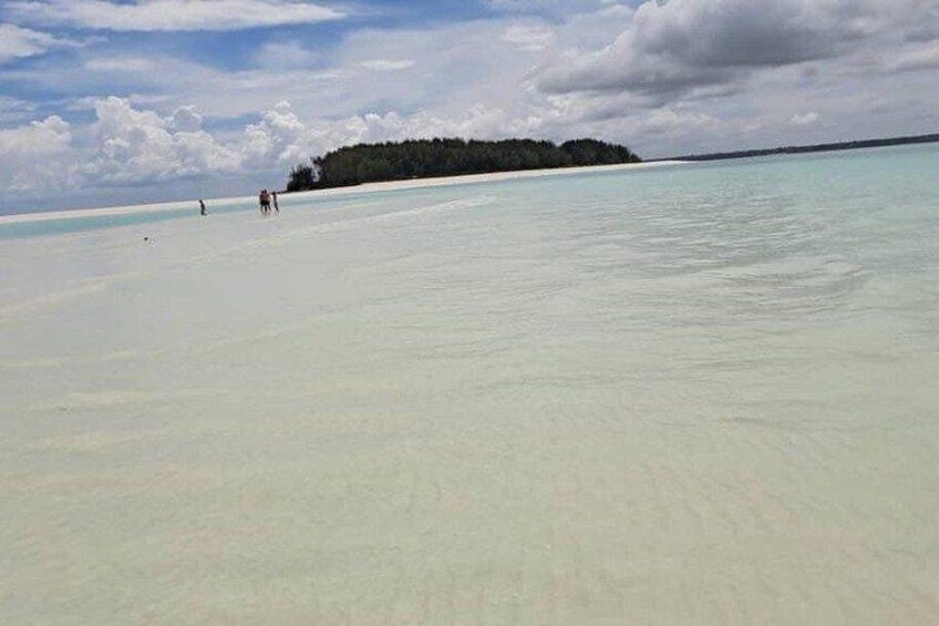 Mnemba Island snorkeling and Swimming with Dolphin 3
