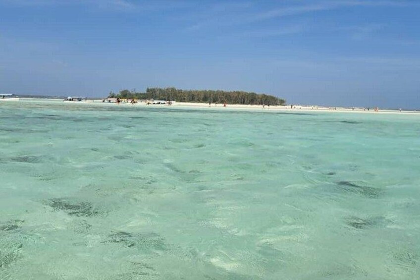 Mnemba Island snorkeling and Swimming with Dolphin 2