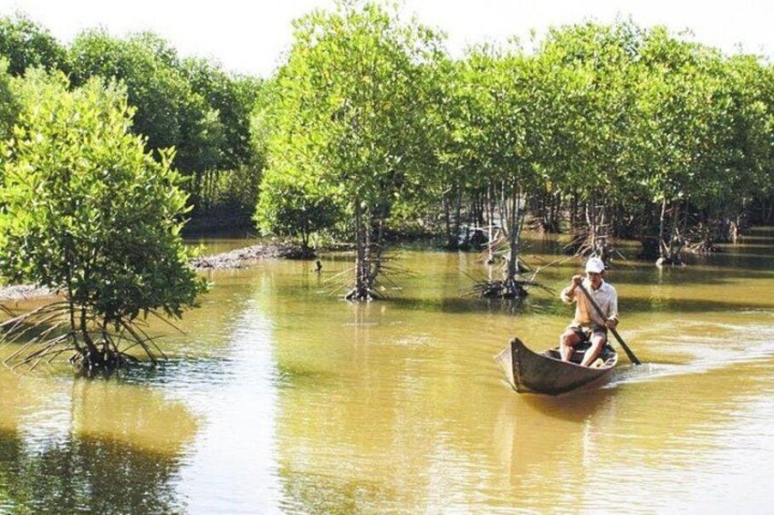 Una persona remando en un bote a través de un bosque de manglares. 4