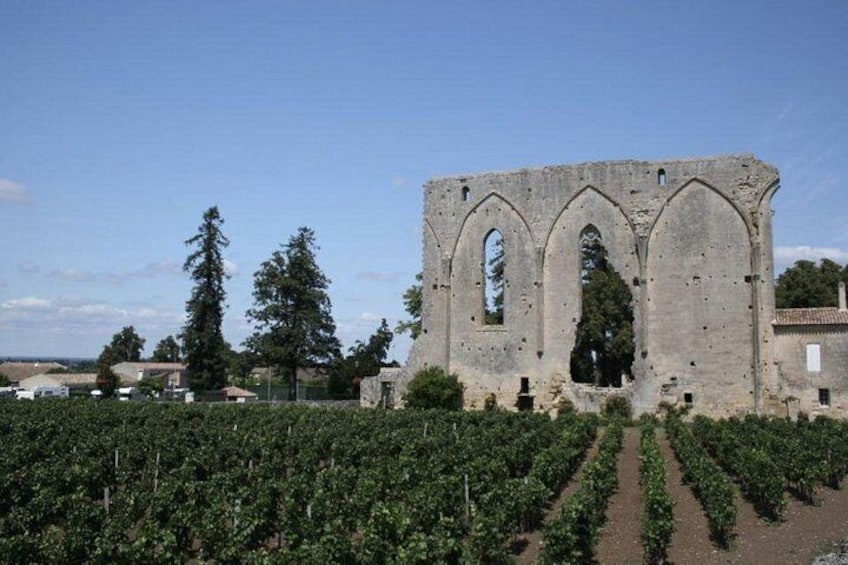 Viñedo con hileras de parras y un edificio histórico de piedra con arcos. 2