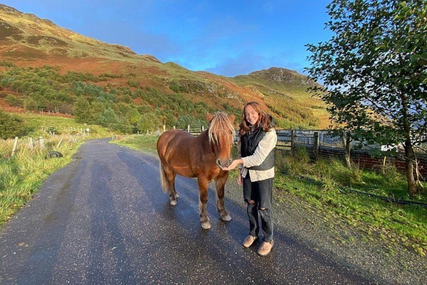 A woman standing next to a horse on a rural road with hills in the background. 3