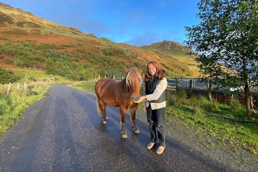 A woman standing next to a horse on a rural road with hills in the background. 2