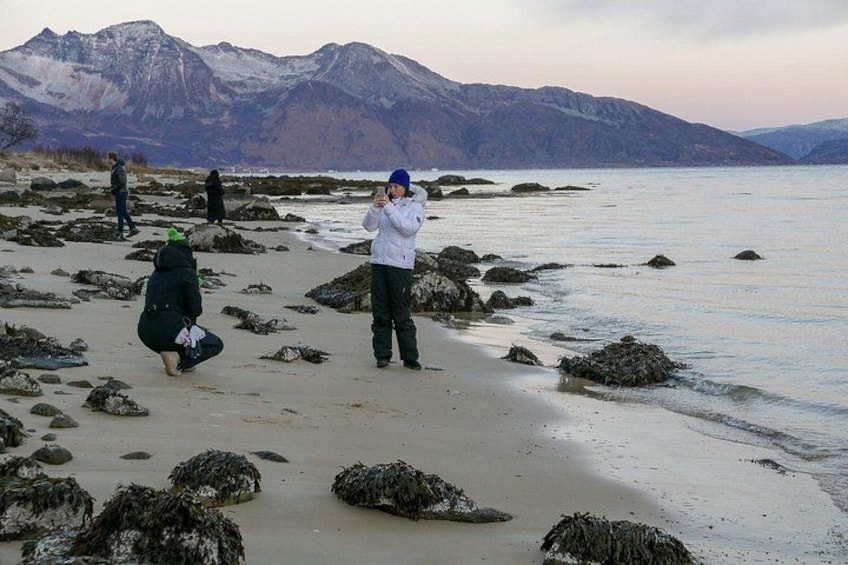 Une plage rocheuse où des gens prennent des photos, une chaîne de montagnes en arrière-plan et des algues sur le sable. 5
