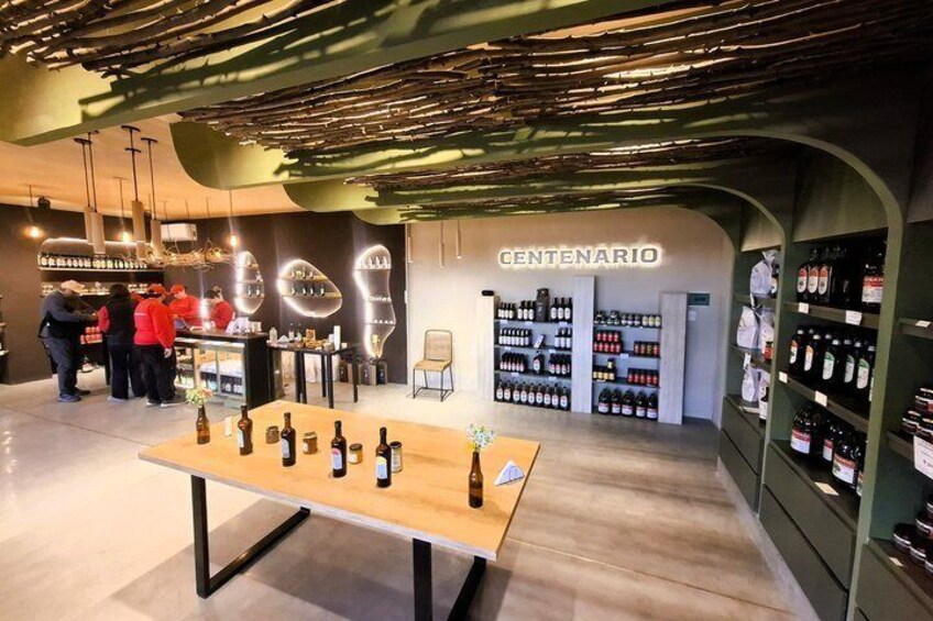 Excursión de 3 bodegas y 1 olivícola con degustación 2