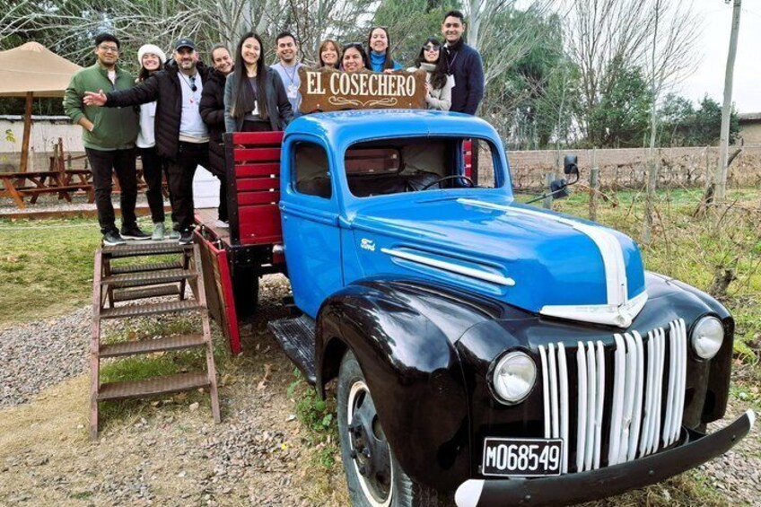Excursión de 3 bodegas y 1 olivícola con degustación 4