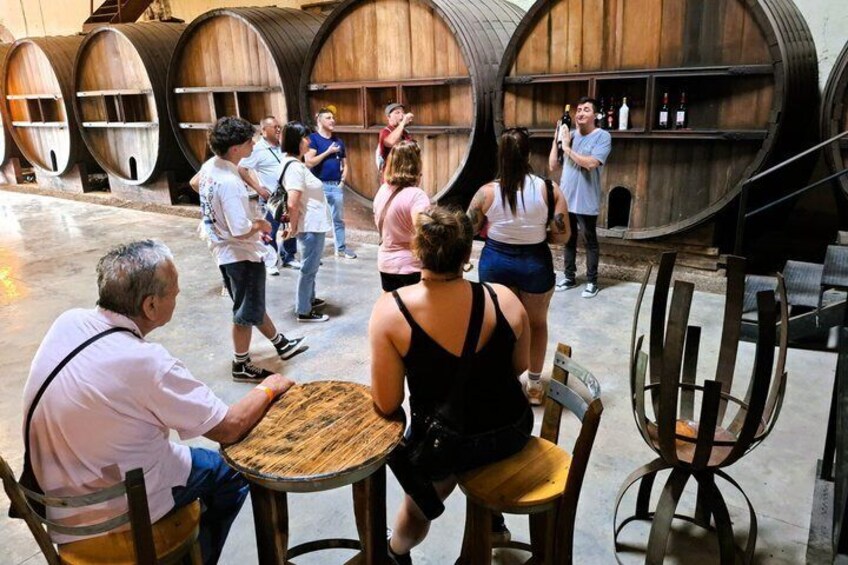 Excursión de 3 bodegas y 1 olivícola con degustación 2