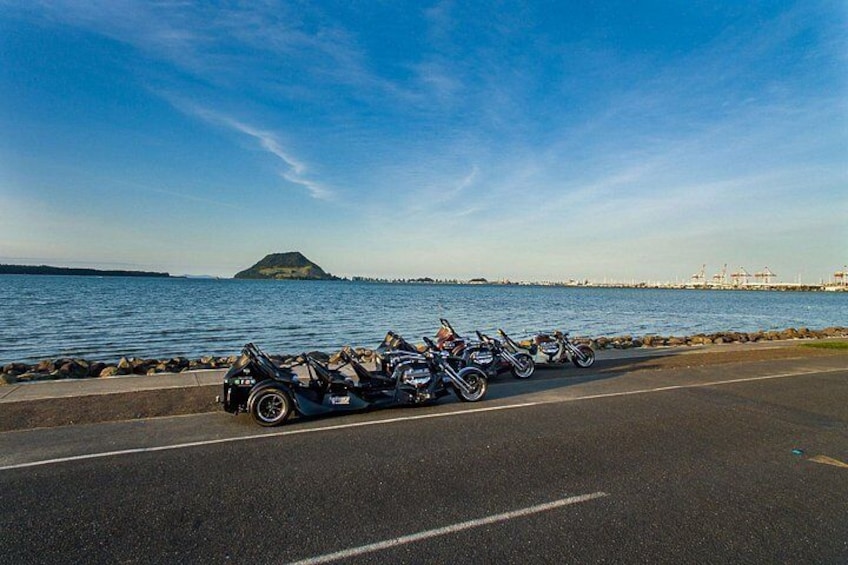 Looking across from Tauranga to Mount Maunganui - visit our website www.v8triketours.co.nz to book this tour 4
