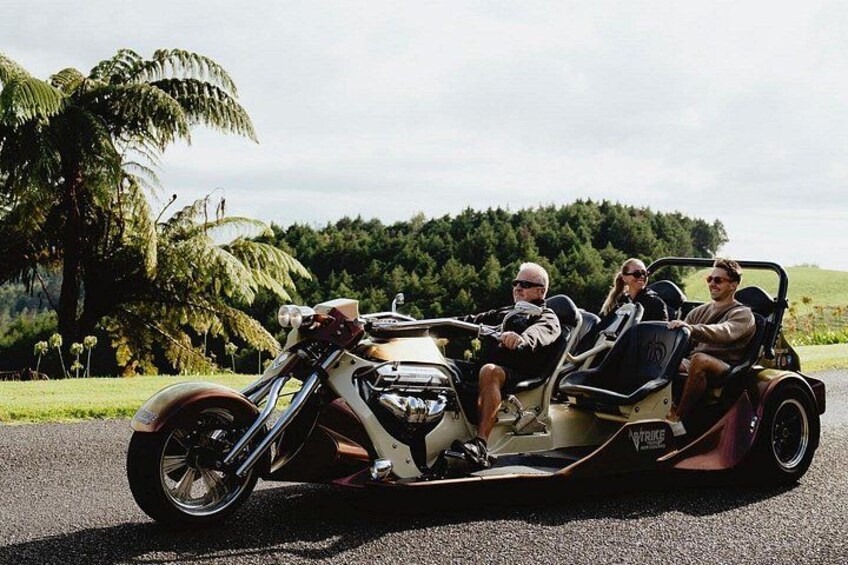 TAURANGA SHORE EXCURSION: V8 TRIKE - 1.5 hour City OR Scenic Tour 5