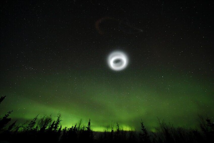 The Northern Lights over a forested landscape. 3