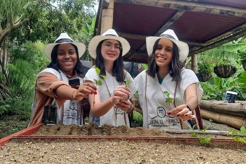 Medellin Coffee Tour & Spa 2