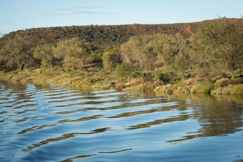 Morning Cruise on the Murchison River in Kalbarri (April to Nov) 5