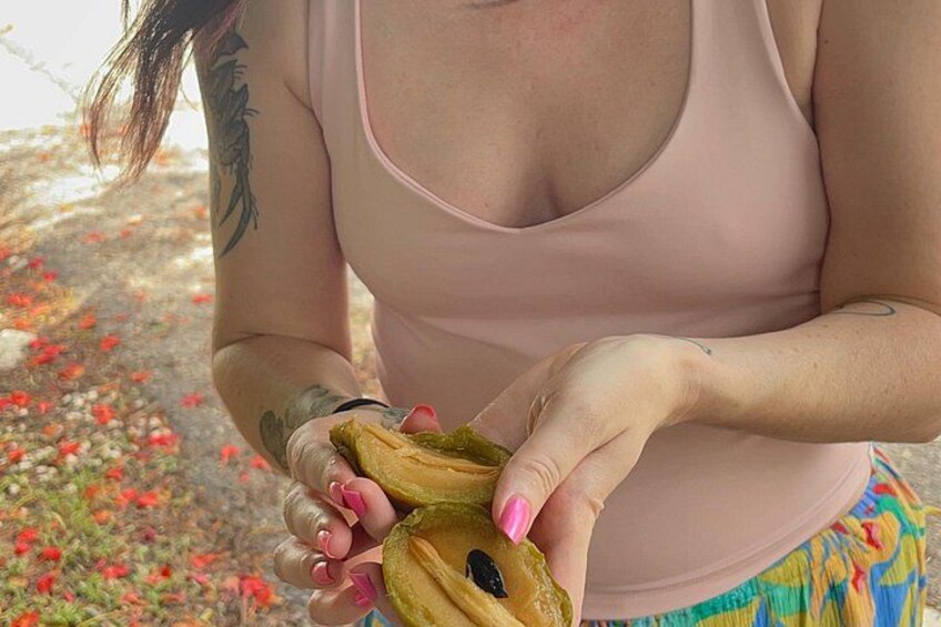 tropical fruit (naseberry) 3