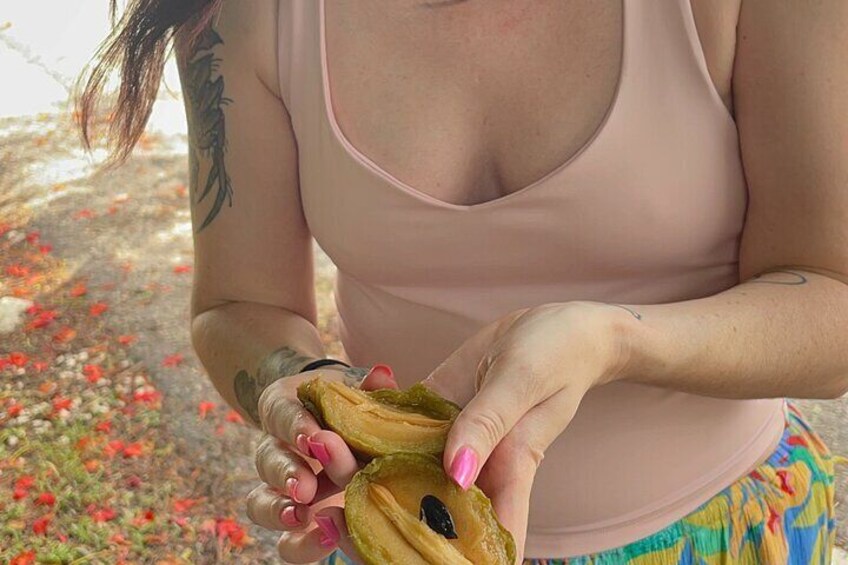 tropical fruit (naseberry) 4