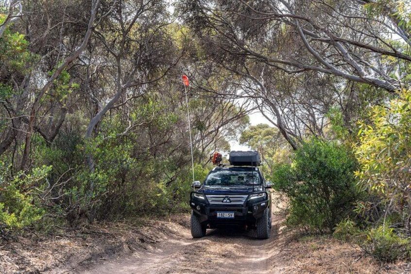 A black SUV on a dirt path surrounded by dense bushland. 2