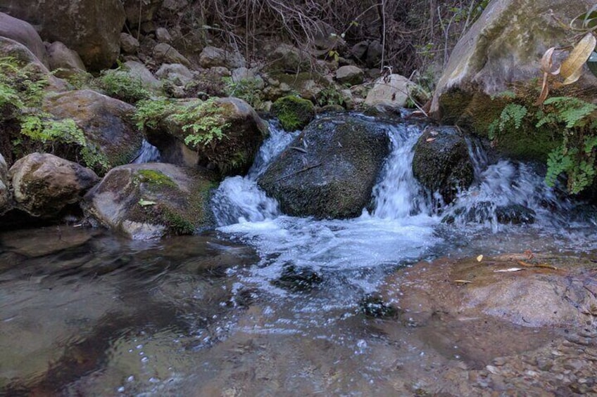 A small waterfall over rocks in a forested area. 3